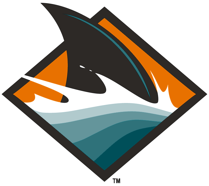 San Jose Sharks 2008 Alternate Logo fabric transfer version 3